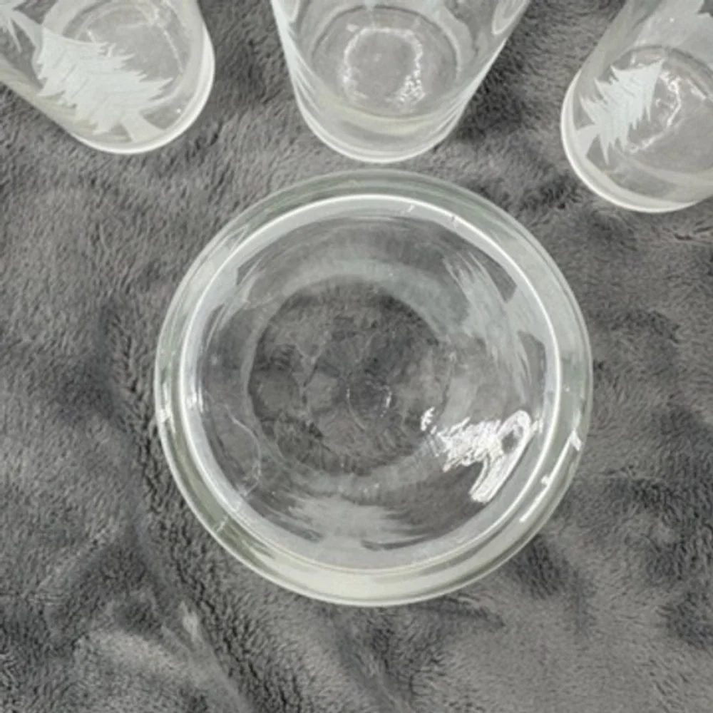 Mid Century Federal Frosted Pine Tree Glasses Set of 5 Highball Glasses Tumblers